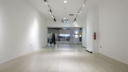 Lucky Plaza (D9), Retail #506452771